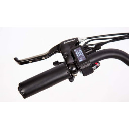 Rower elektryczny Le Sure City Series 1.0 Męski