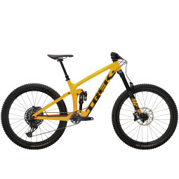 Rower Trek Remedy 9.8  GX