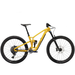 Rower Trek Fuel EX 9.8 GX